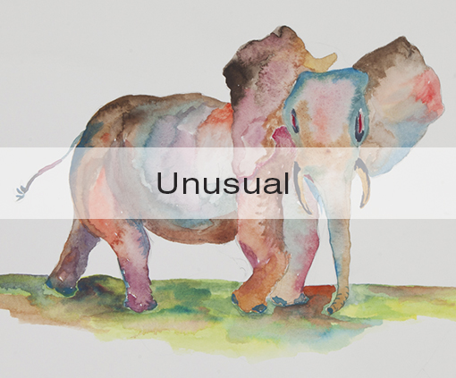Unusual