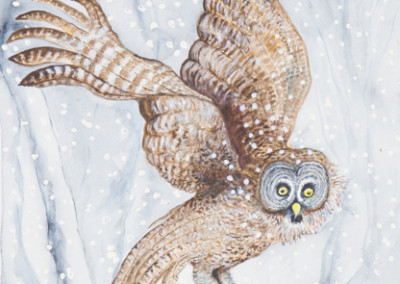 Flighty Owl
