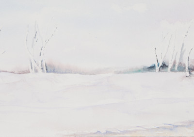 Winter Landscape